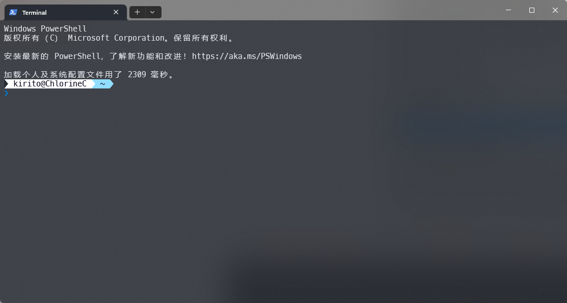 加载 profile.ps1 : 2309ms 加载 profile.ps1 : 2309ms